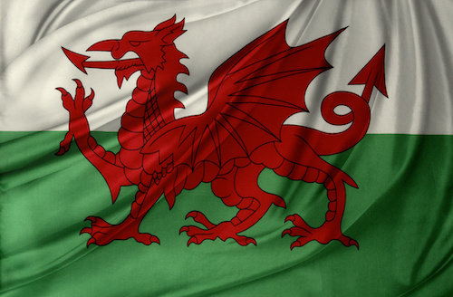Welsh and your business