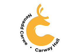 Carway Park -New and Improved Community Play Provision