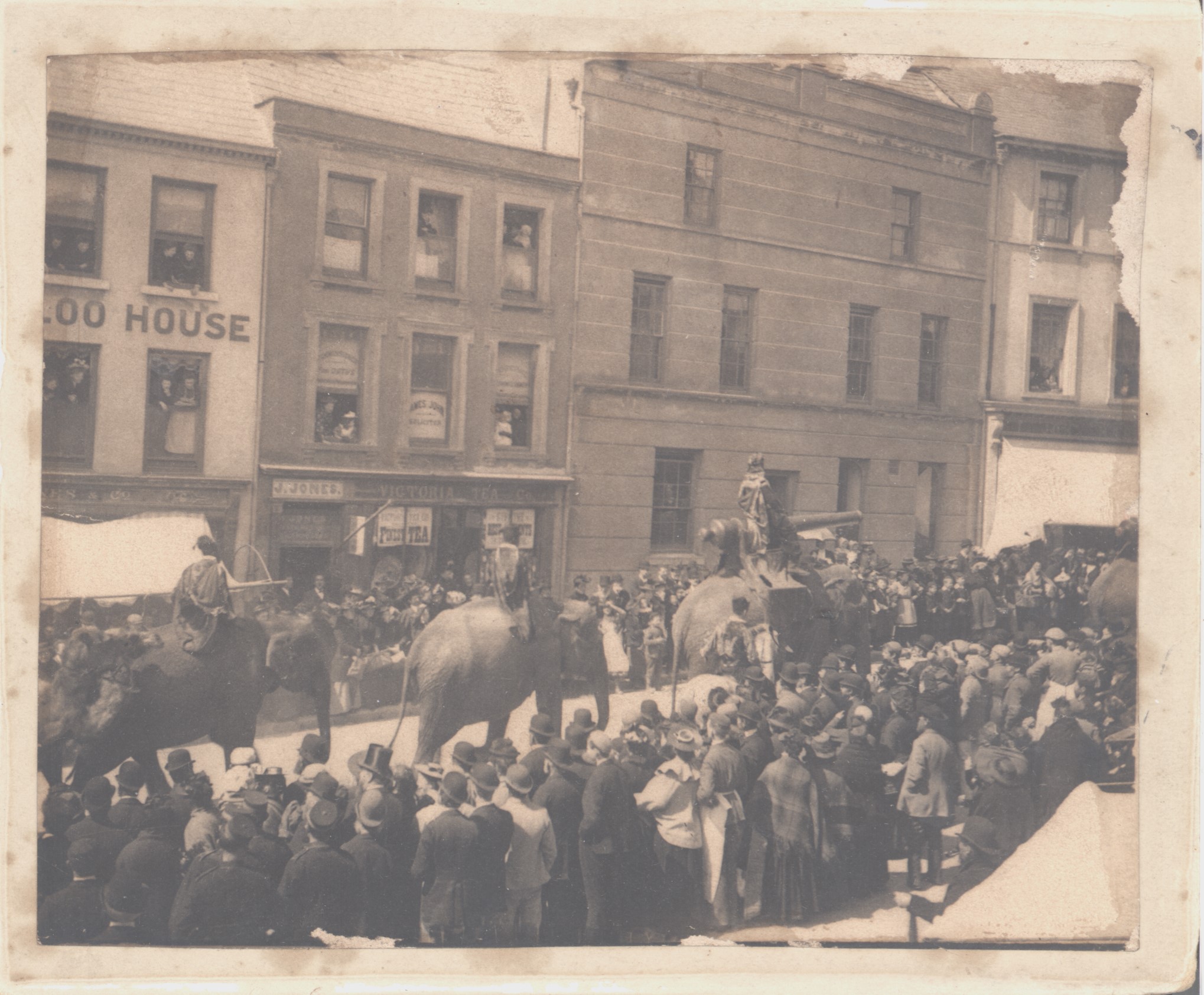 Sepia photograph of a procession of elephants walking down a street in Carmarthen. One has a cannon strapped to its back, a crowd looks on in awe.