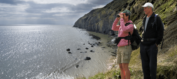 Discover Carmarthenshire