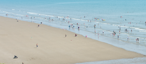 Water quality at our local beaches