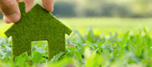 Supplementary Planning Guidance (SPG)