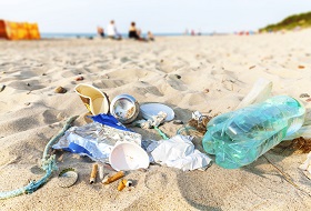 Beach litter