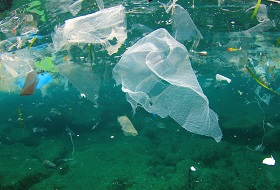 Plastic Pollution