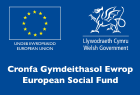 Welsh Government