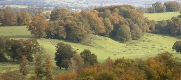 Dinefwr Park