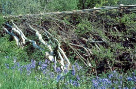 National Hedge Laying Society