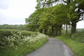Good practice guide for hedgerow management