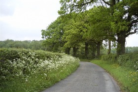 RSPB - hedgerow history