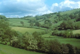 Apply to remove a hedgerow