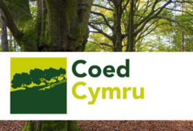 Coed Cymru