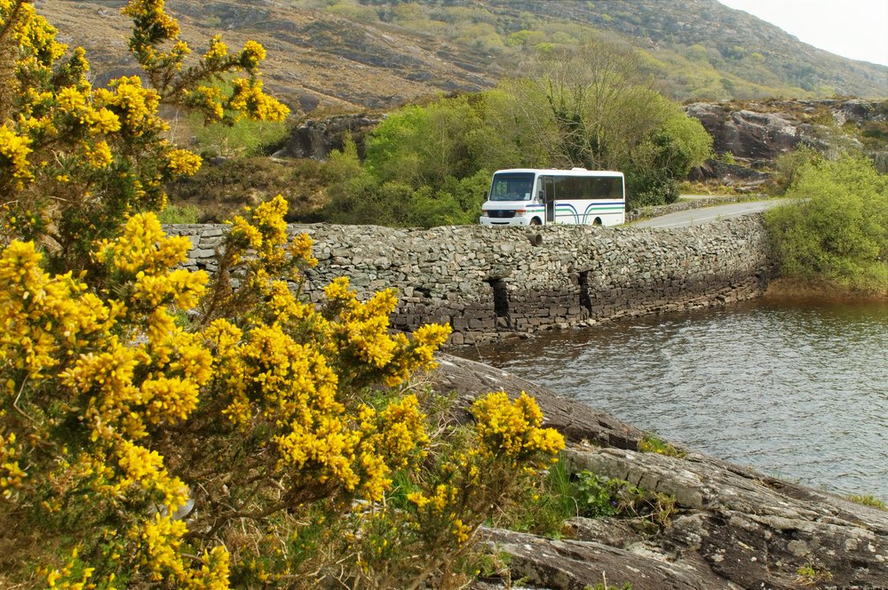 Flood defence consent