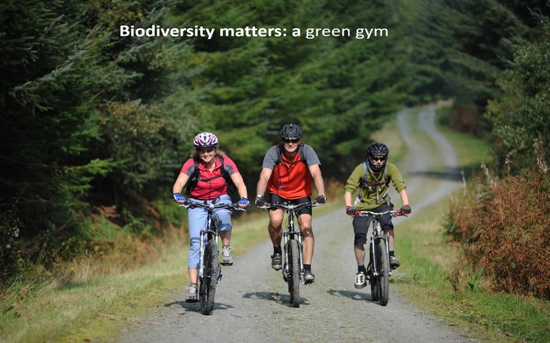 Biodiversity matters: a green gym 