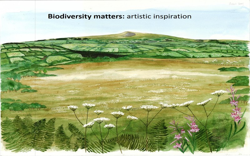 Biodiversity matters: artistic inspiration 