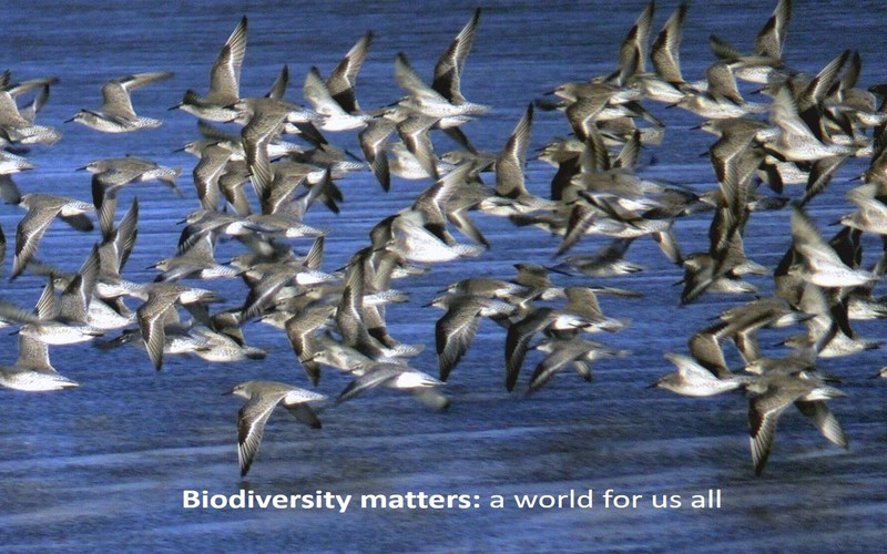 Biodiversity matters: a world for us all 