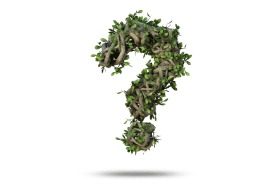 FAQs - Recycling and waste