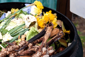 Have you tried home composting?