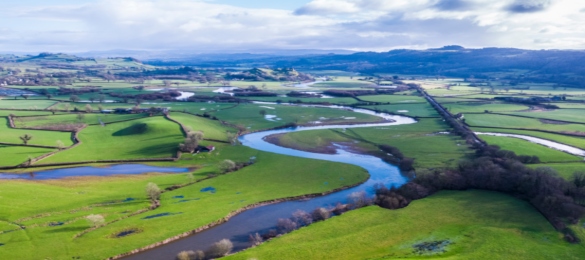 Water Quality - Phosphates
