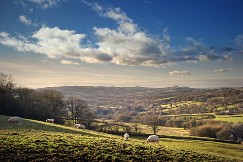 Search for planning application by map