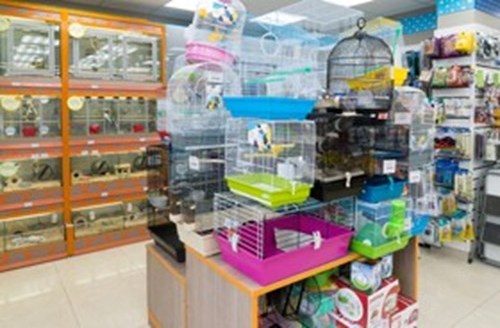 Licensed pet shops