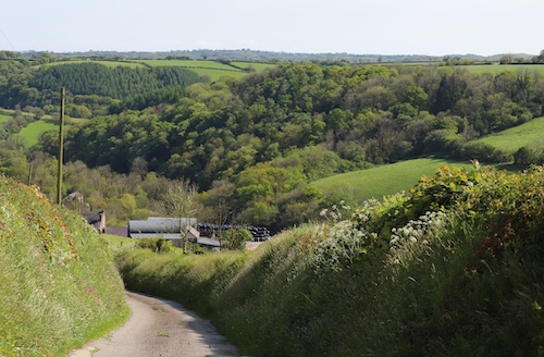 Information for landowners