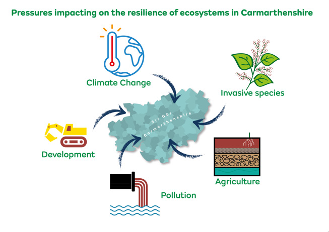 Pressures impacting on the resilience of ecosystems in Carmarthenshire - Climate Change - Invasive species - Agriculture - Pollution - Development.
