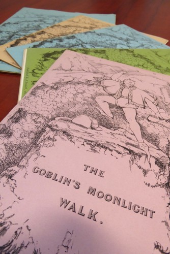Multiple copies and various coloured covers of “The Goblin’s Moonlight Walk” fanned out on a wooden table.