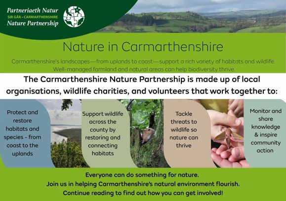 Carmarthenshire Nature Partnership. Nature in Carmarthenshire. Carmarthenshire's landscapes - from uplands to coast - support a rich variety of habitats and wildlife. Well-managed farmland and natural areas can help biodiversity thrive. The Carmarthenshire Nature Partnership is made up of local organisations, wildlife charities, and volunteers that work together to: protect and restore habitats and species - from coast to the uplands. Support wildlife across the county by restoring and connecting habitats. Tackle threats to wildlife so nature can thrive. Monitor and share knowledge and inspire community action. Everyone can do something for nature. Join us in helping Carmarthenshire's natural environment flourish.