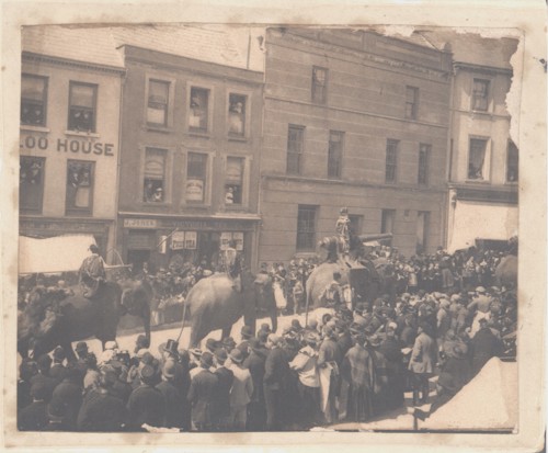 Sepia photograph of a procession of elephants walking down a street in Carmarthen. One has a cannon strapped to its back, a crowd looks on in awe.