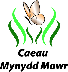 Caeau Mynydd Mawr