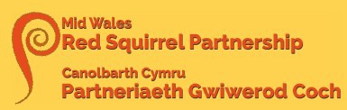 Mid Wales Red Squirrel Partnership - Canolbarth Cymru Partneriaeth Gwiwerod Coch