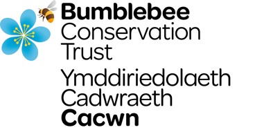Bumblebee Conservation Trust - Ymddiriedolaeth Cadwraeth Cacwn