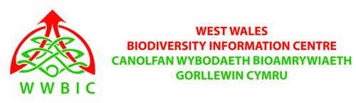 West Wales Biodiversity Information Centre - Canolfan Wybodaeth Bioamrywiaeth Gorllewin Cymru
