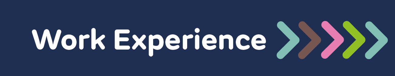 Work experience